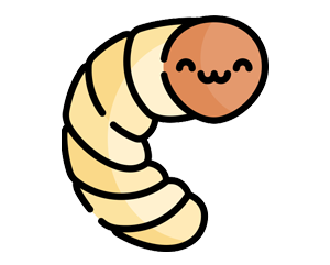 Larva Uygulaması